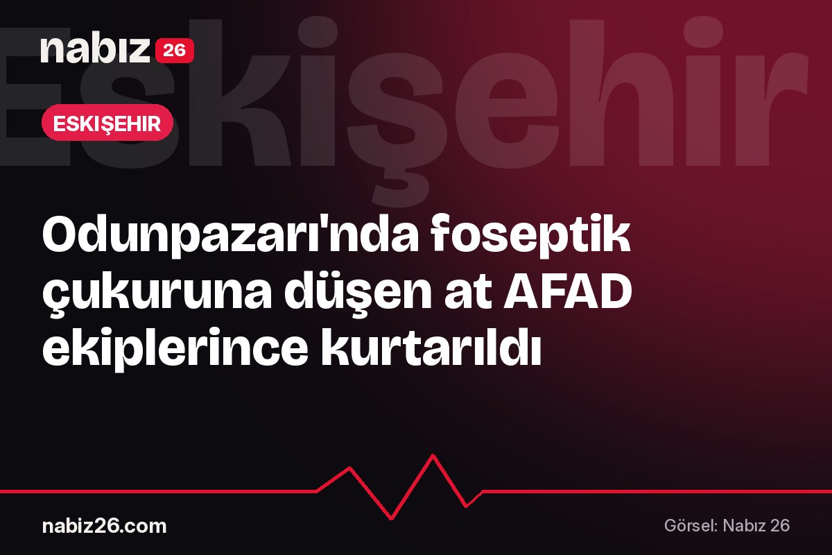 Odunpazarı'nda foseptik çukuruna düşen at AFAD ekiplerince kurtarıldı