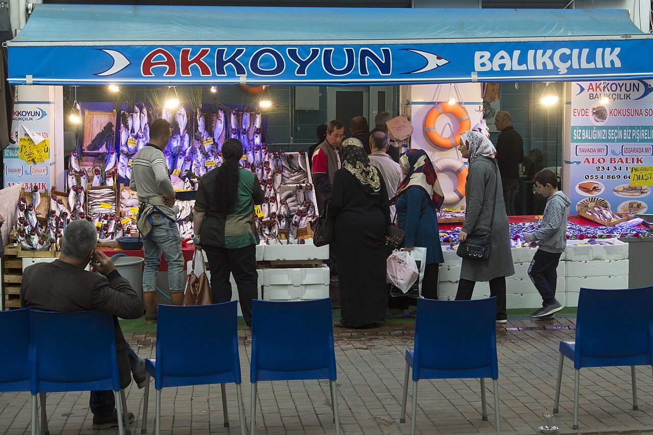 Eskişehir'de kadınların siyasi temsili için AllyGround eğitim programı yapıldı